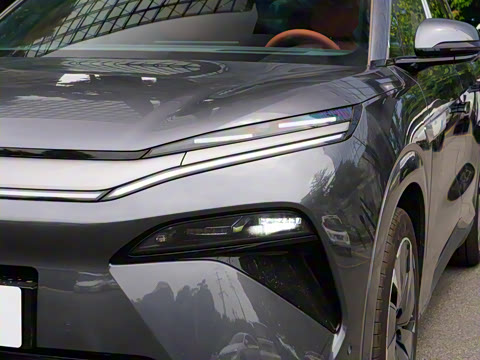 2025�� DM 175KM���˻���Ұ�