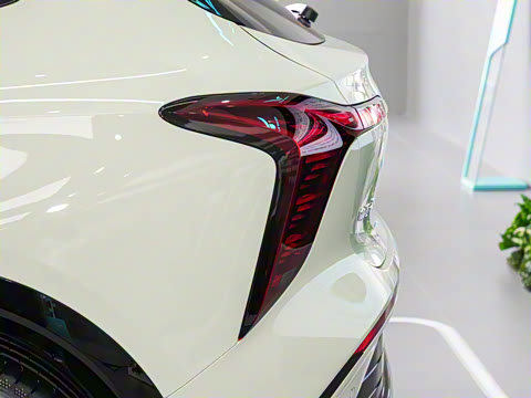 2025�� 520 ��ѡ��