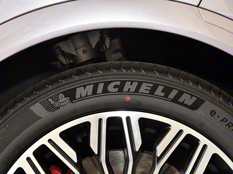 2025�� FREE+ ����Ǭ����