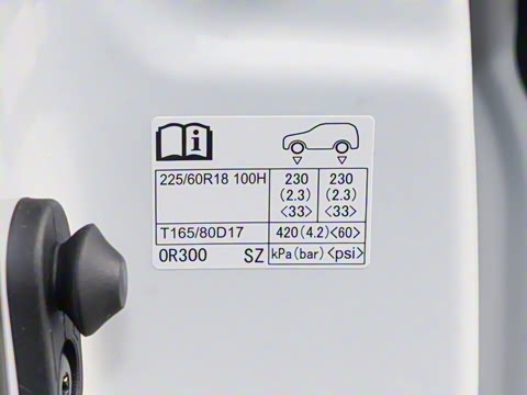 2024�� ˫�� 2.5L E-CVT��������PLUS��