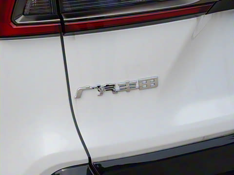 2024�� ˫�� 2.5L E-CVT��������PLUS��