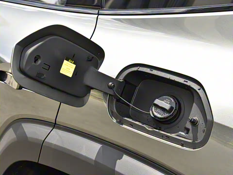 2024�� ����������