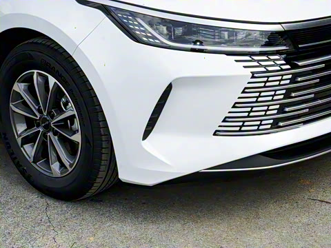 2025�� DM-i 55KM ���а�