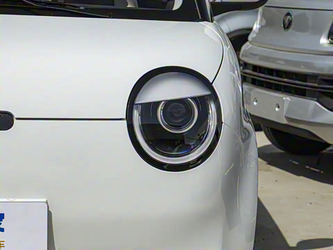 2025�� 301km �ȱ���