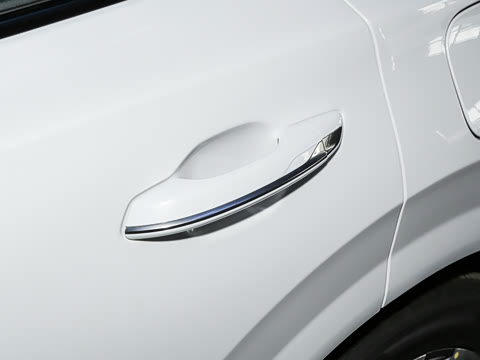 2024�� 115km ��Ϊ��