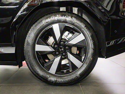 2025�� ����������Plus