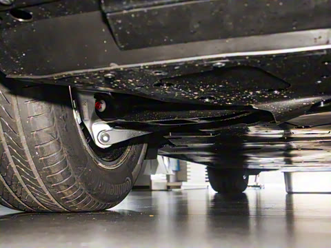 2025�� ����������Plus