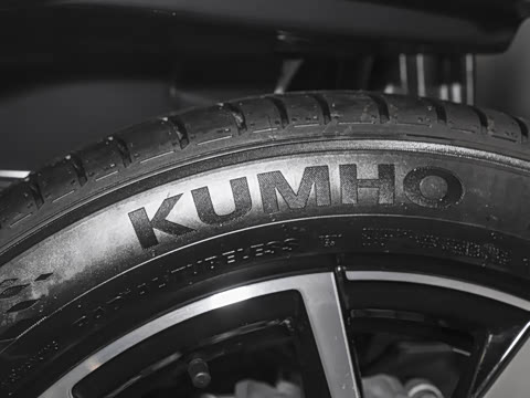 2024�� 300TSI DSG���������