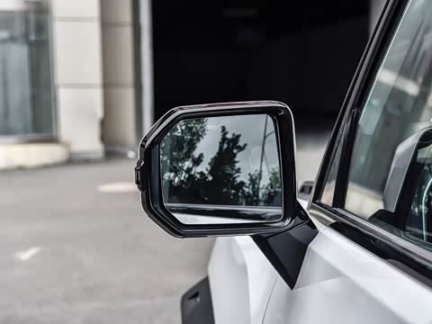 2025�� 2.0TD XWD �Զ�����