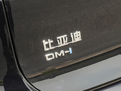 2025�� DM-i 175KM �캽��