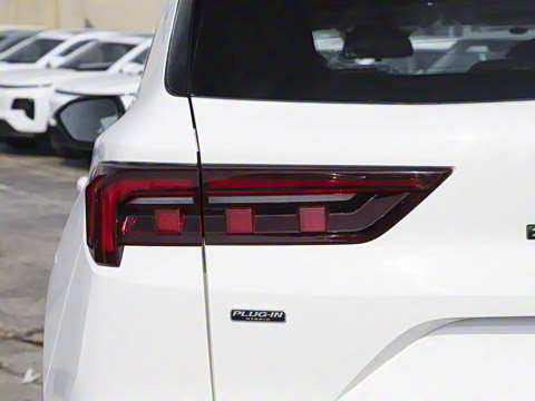 2025�� ������