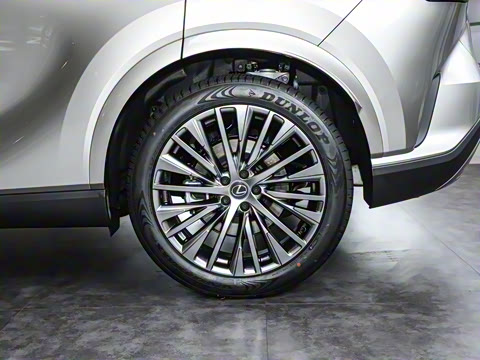 2025�� 450h+ ����������