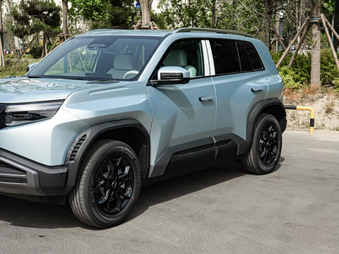 2025�� 501KM ����Max��