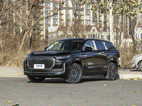 2025�� 1.5T 106KM������ 5�� �������