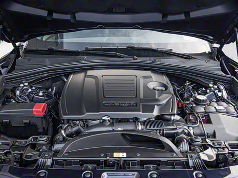 2025�� P250 R-Dynamic S