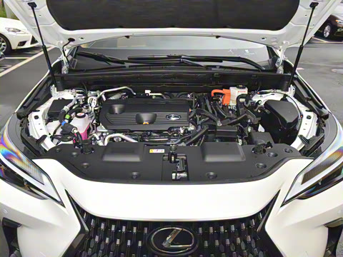 2024�� 400h+ ���ð�