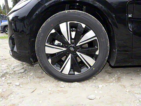 2025�� ���� ����� 230 ������