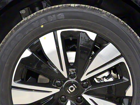 2025�� ���� ����� 230 ������