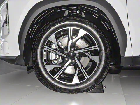 2024�� 1.5T 55km PRO ���ڰ�