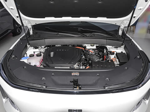 2024�� 1.5T 55km PRO ���ڰ�