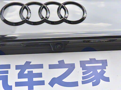 2025�� 200���������� 45 TFSI quattro ��ѡ������