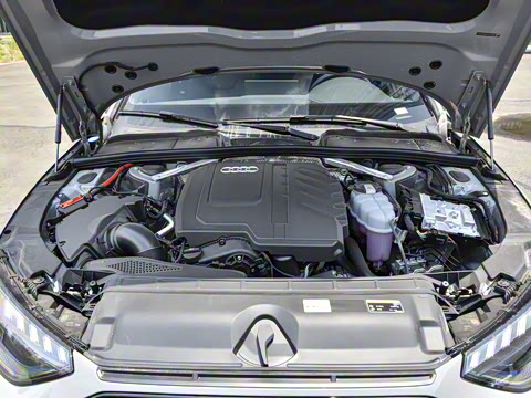 2025�� 200���������� 45 TFSI quattro ��ѡ������