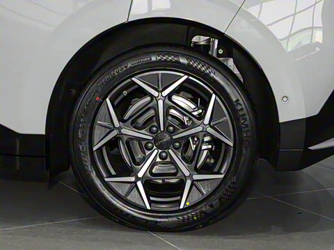 2025�� 530km ����Pro