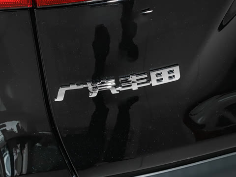 2024�� ˫�� 2.5L E-CVT��������