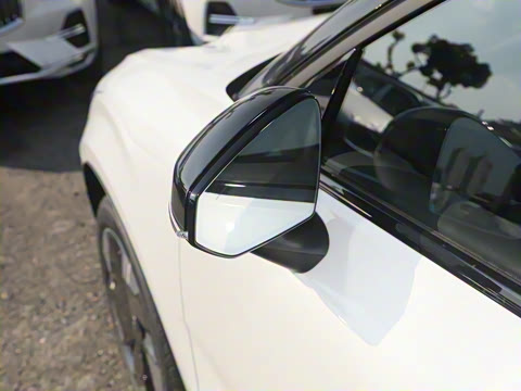 2025�� ������������ Plus