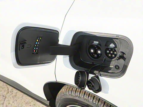 2025�� ������������ Plus