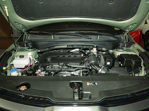 2023�� 2.0T ����������