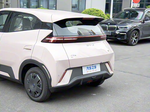 2025�� 305km ������