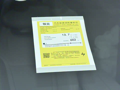 2024�� 71kWh 602km����Pro