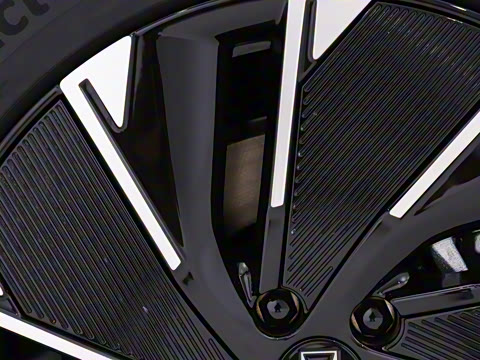 2024�� Max�����