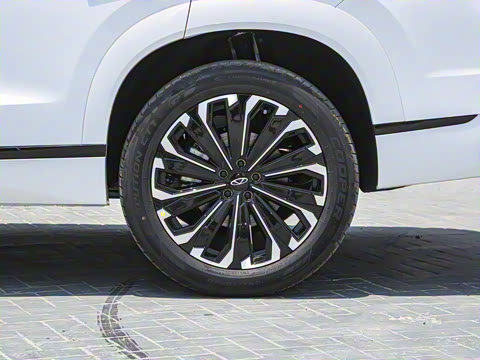 2023�� �Ŀ� 2.0T �Զ����������� 7��