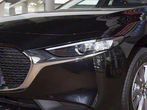 2023�� 2.0L �Զ������