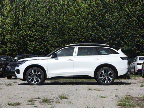 2024�� 380TSI ����R-LineѲ�� ������