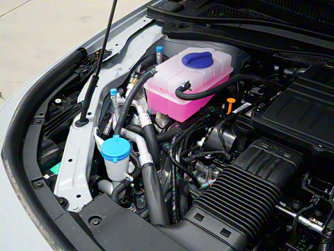 2025�� 70km ��׼��