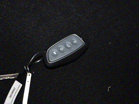 2024�� 2.0T ����Max