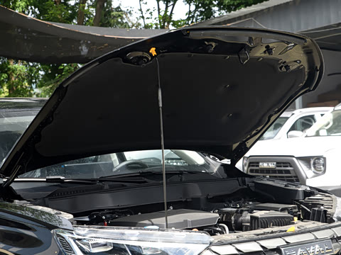 2024�� 2.0T ����Max