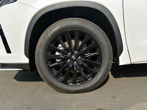 2024�� 2.0T ������ҫ��