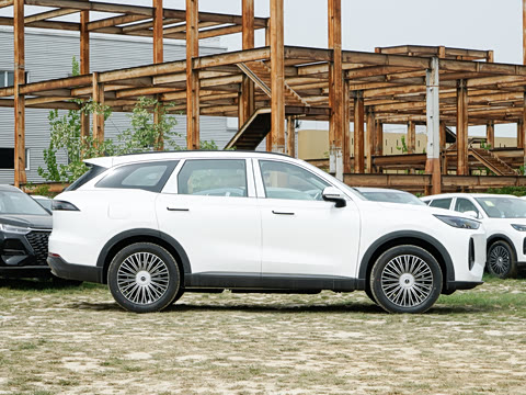 2025�� 120 ���������콢�� 5�� ��Ԫ�