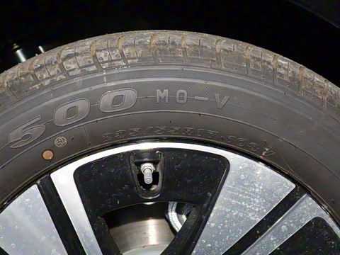 2025�� �������Ȱ�