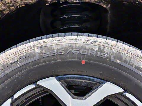 2025�� 220km ����������