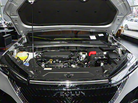 2025�� 1.5T ������