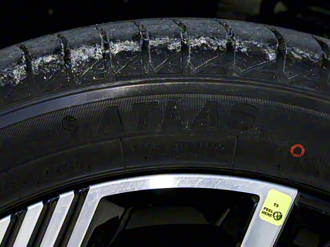 2025�� ������