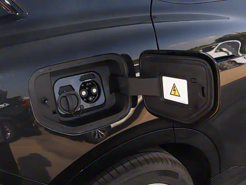 2024�� ������������