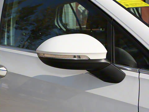 2025�� 300TSI Pro