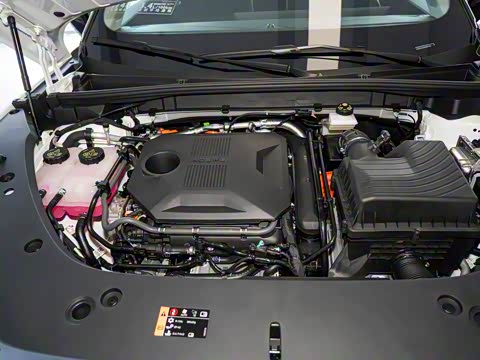 2024�� 135�콢��