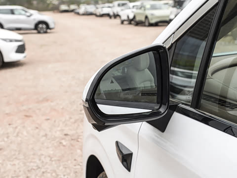 2025�� DM-i 1.5T 100km �캽��